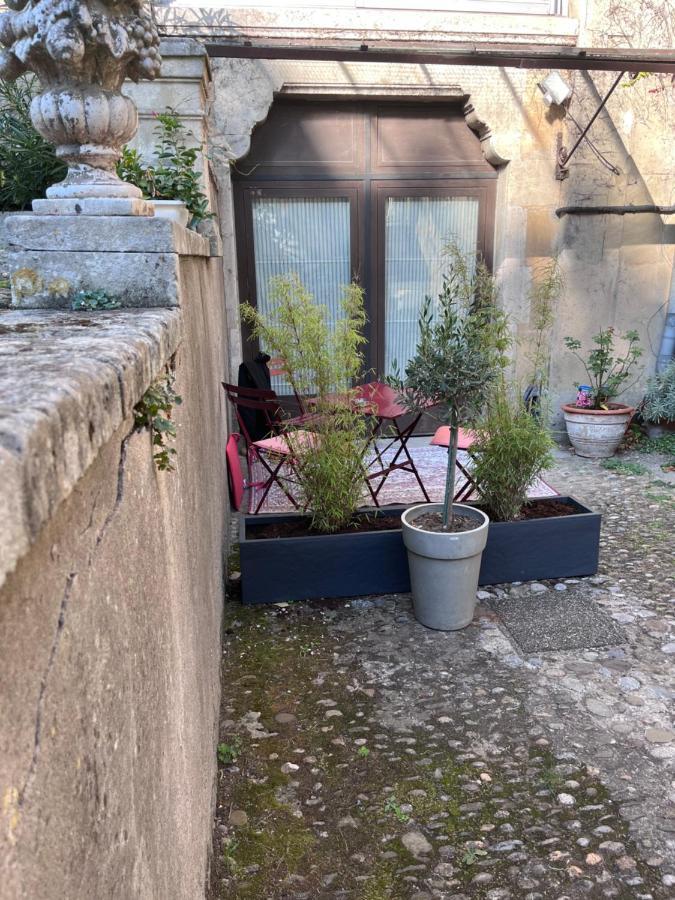 Salut Le Petit Gite Καρκασόν Εξωτερικό φωτογραφία
